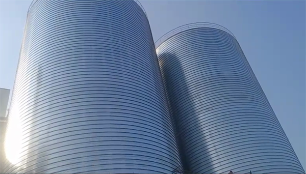 德阳2座混凝土高架卷板仓